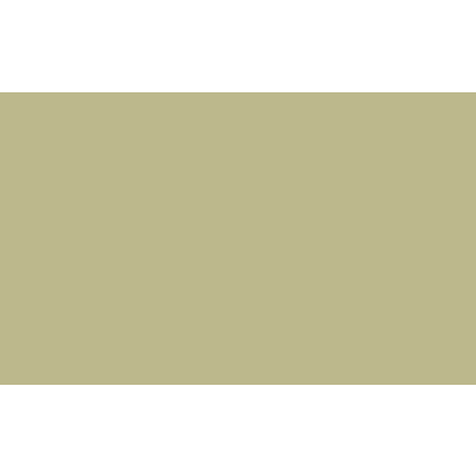 Fundo Fotográfico Papel Pistachio 2,70 x 11 m USA 153 1