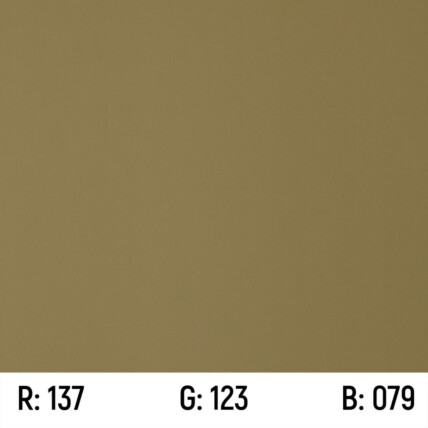 Fundo Fotográfico Papel 10 Verde Militar 2,70x10m