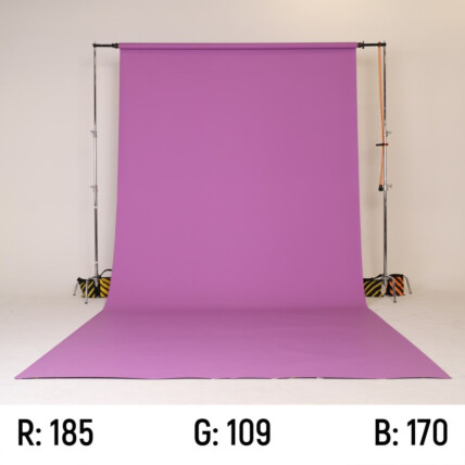 Fundo Fotográfico Papel 104 Tulipa Purple 2,70x10m